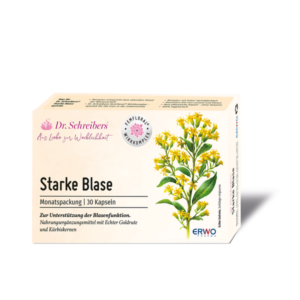 Verpackung von Dr. Schreibers Starke Blase, Monats-Packung mit 30 Kapseln, abgebildete Pflanze und Produktinformationen sichtbar.