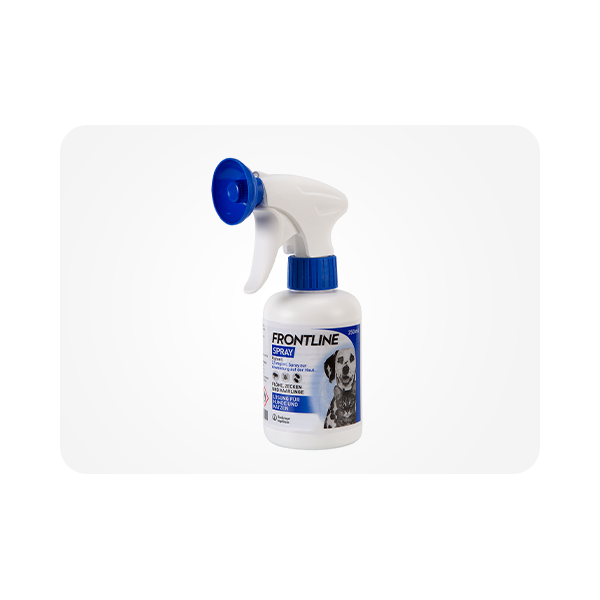 Sprühflasche mit dem Produktnamen Frontline zur Bekämpfung von Flöhen und Zecken bei Hunden.